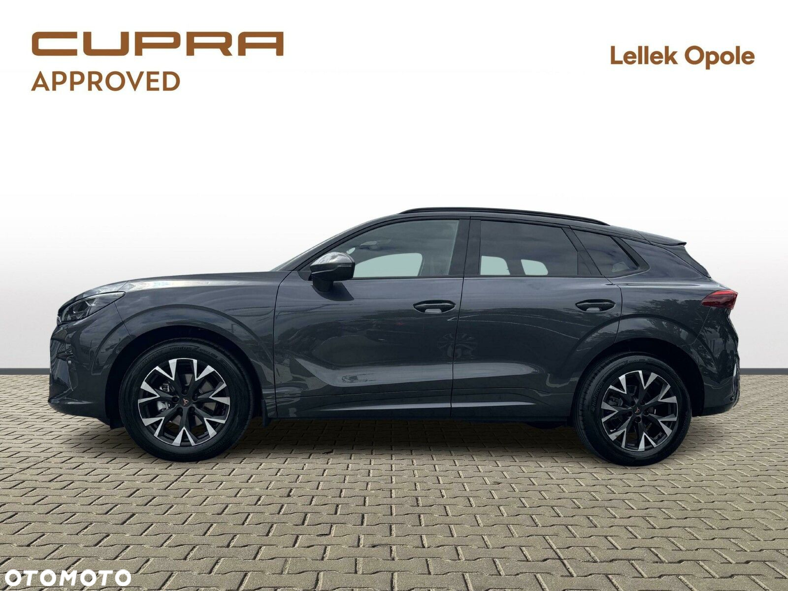 Cupra Terramar - 2