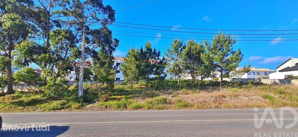 Terreno para construção em Foz do Arelho de 650,00 m2 - Grande imagem: 2/14