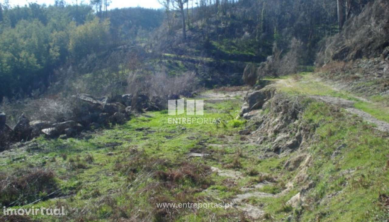 Venda Terreno, Grilo, Baião - Grande imagem: 4/7