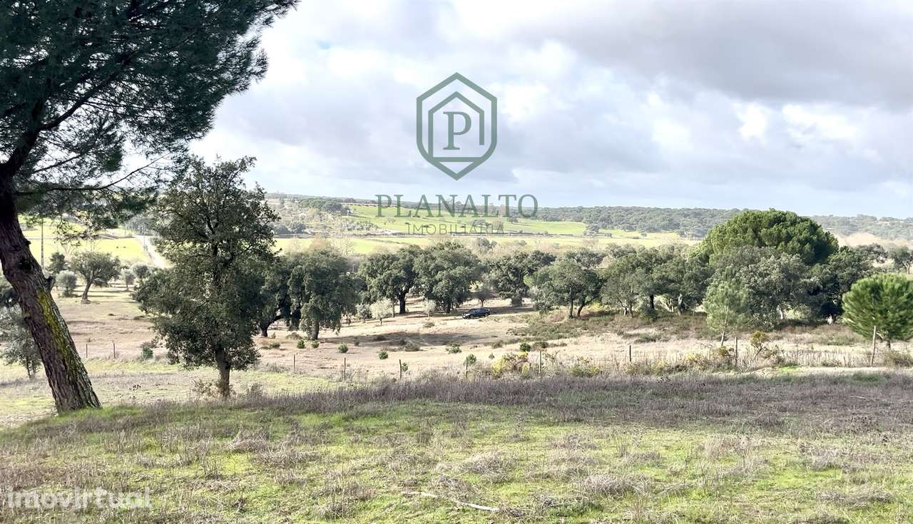 Quinta >=T10 Venda em Cortiçadas de Lavre e Lavre,Montemor-o-Novo - Grande imagem: 3/60