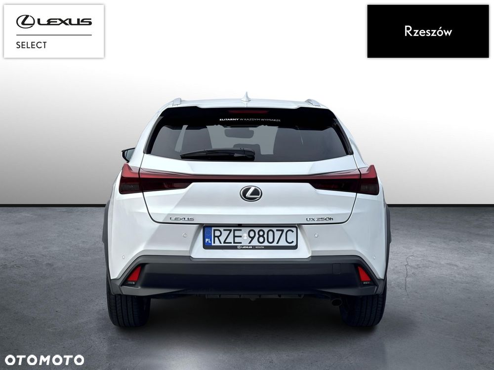 Lexus UX 250h GPF Business 2WD - 4