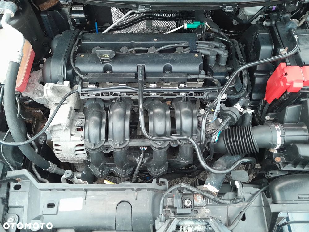 Ford Fiesta 1.25 Champions Edition - 10