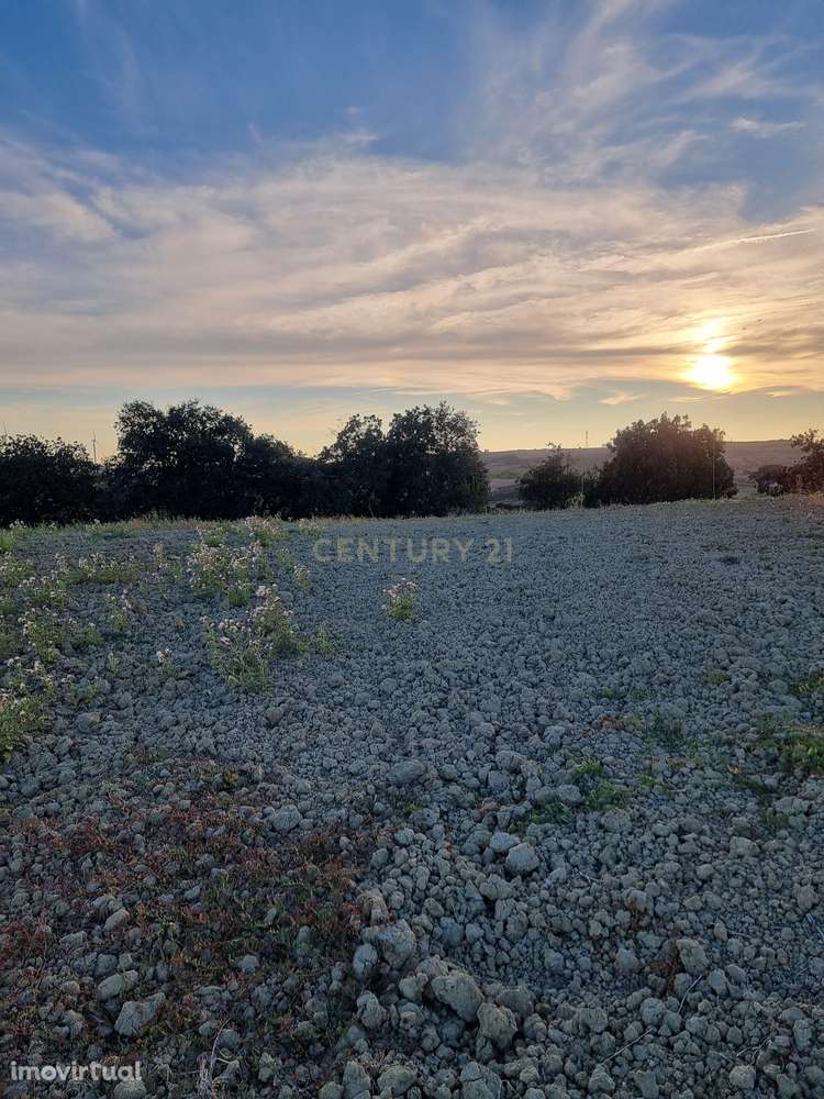 Terreno para Construção - Sobral de Monte Agraço - Grande imagem: 3/25