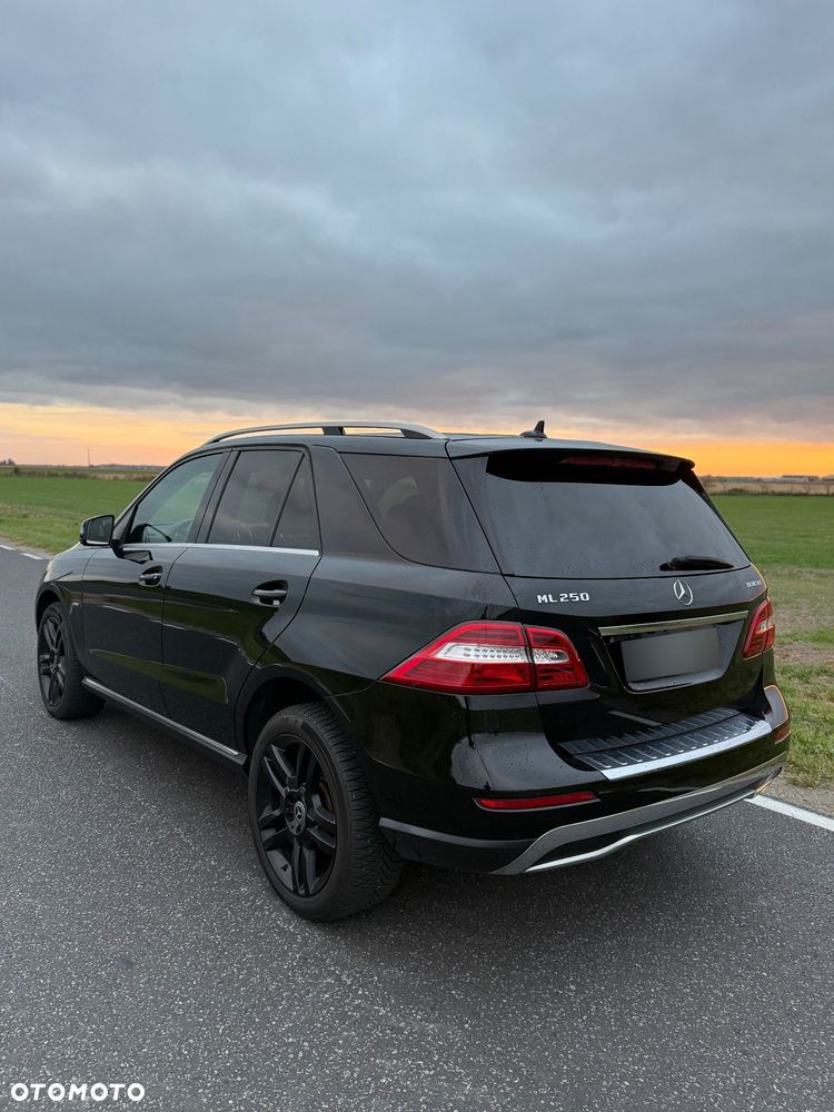 Mercedes-Benz Ml 250 2012 photo 4