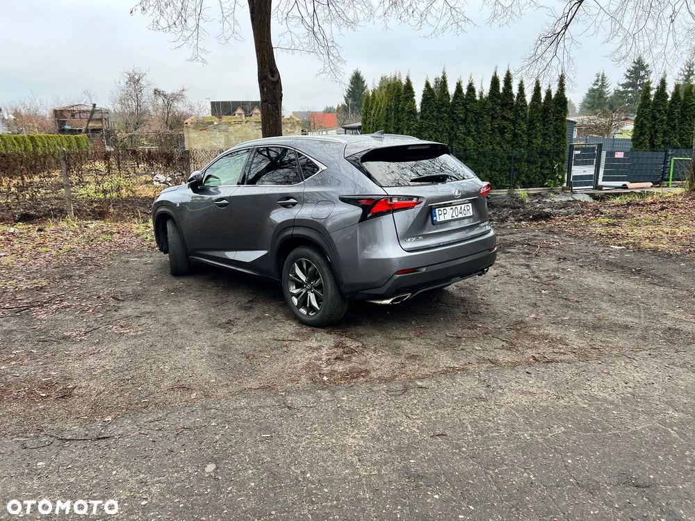 Lexus NX 200t F Sport AWD - 12