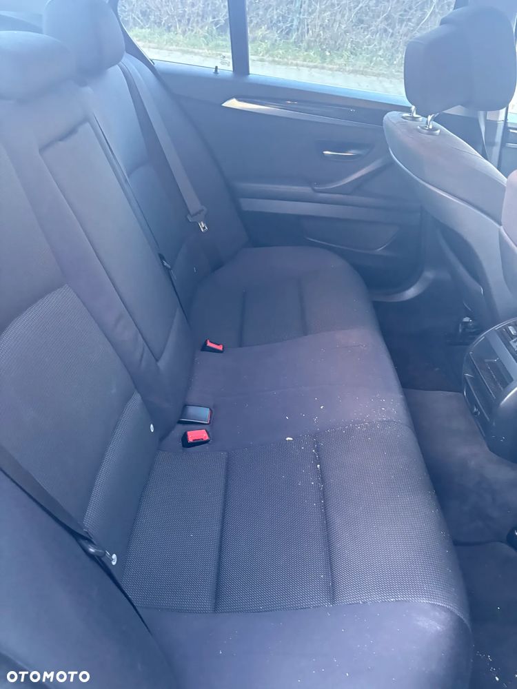 BMW Seria 5 520d Blue Performance - 17