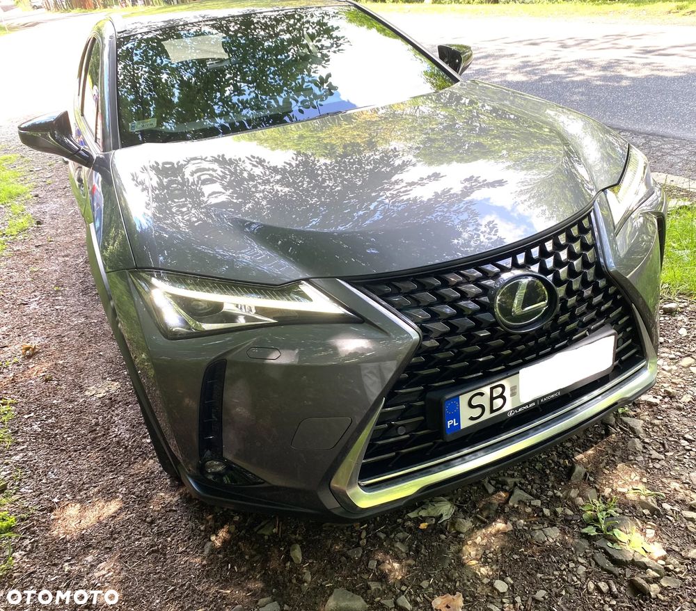 Lexus UX - 5