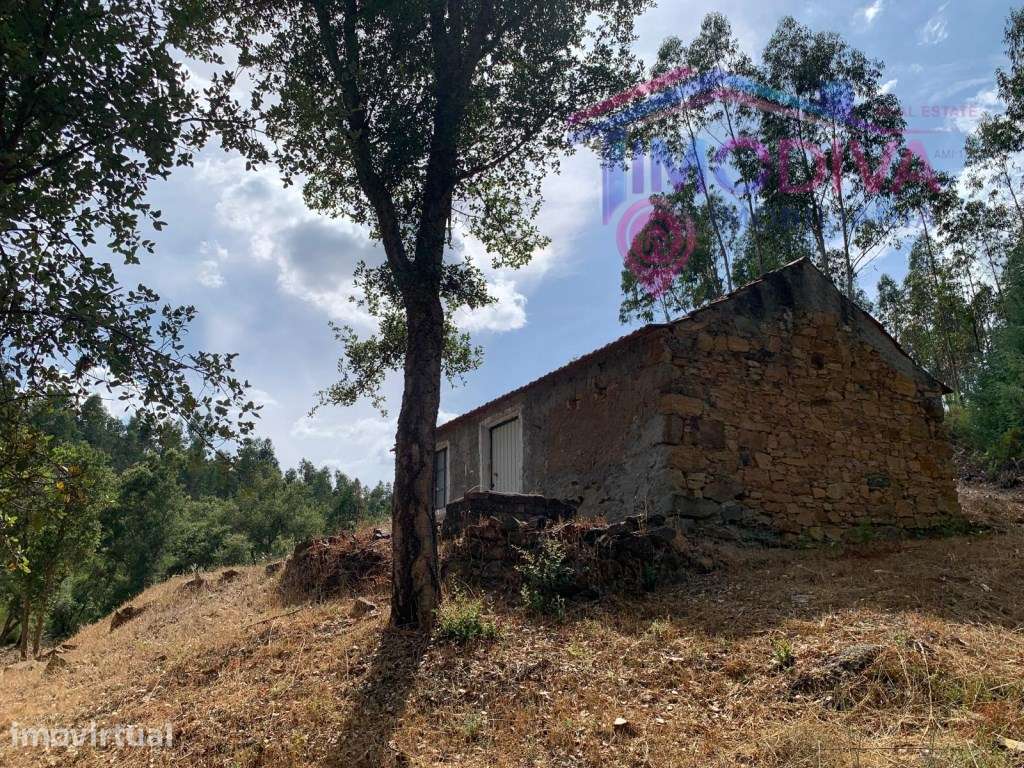 Propriedade com 3 hectares - Grande imagem: 5/36