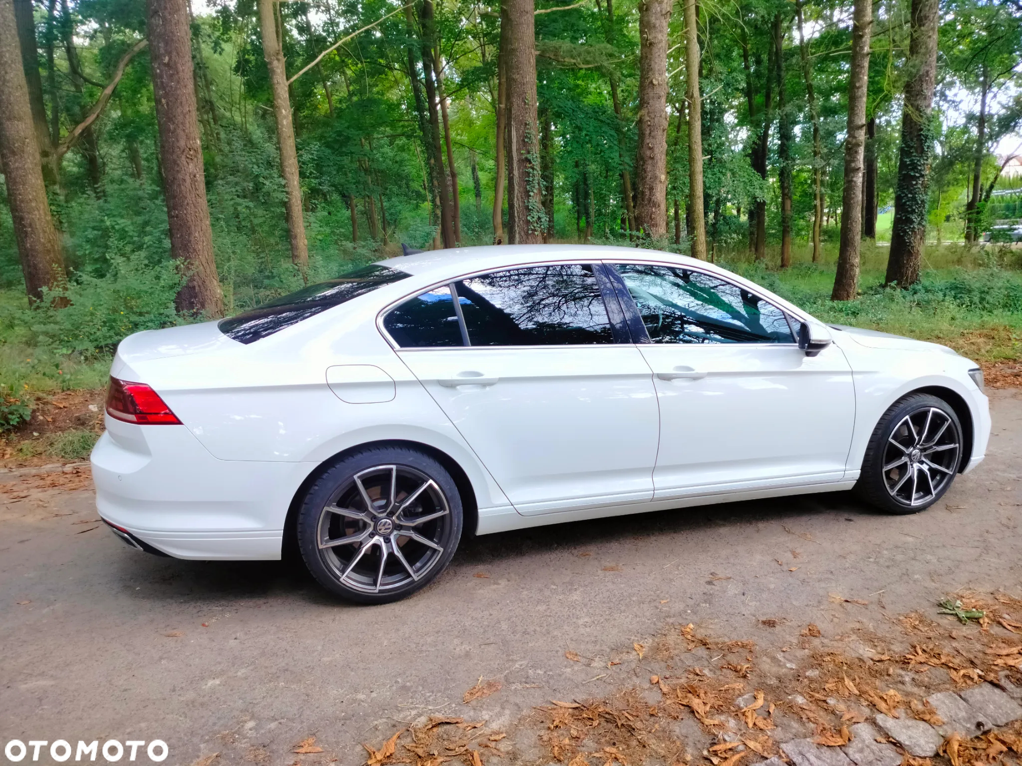 Volkswagen Passat 2.0 TSI Elegance DSG - 5