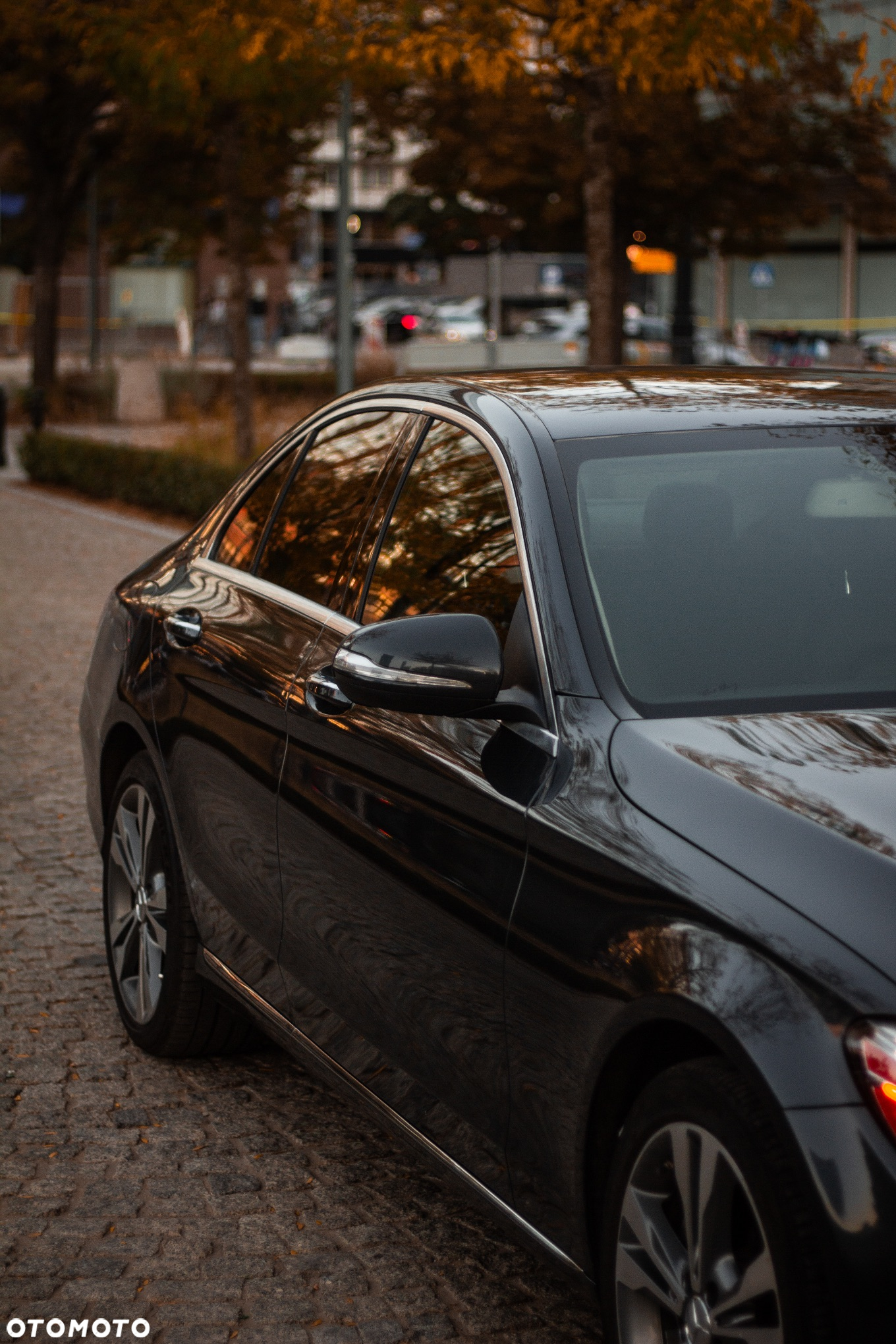 Mercedes-Benz Klasa C 300 7G-TRONIC - 18