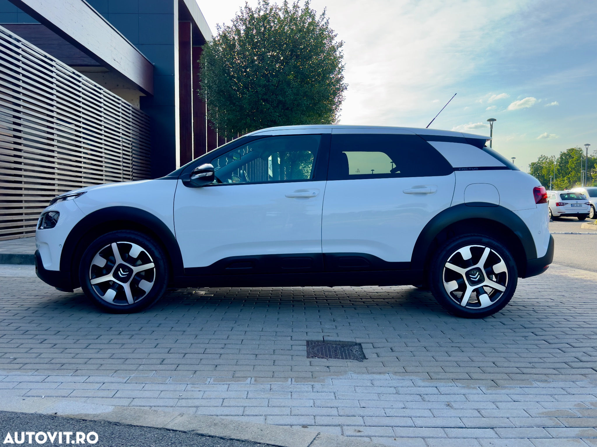Citroën C4 Cactus BlueHDi 120 Stop&Start EAT6 Shine - 31