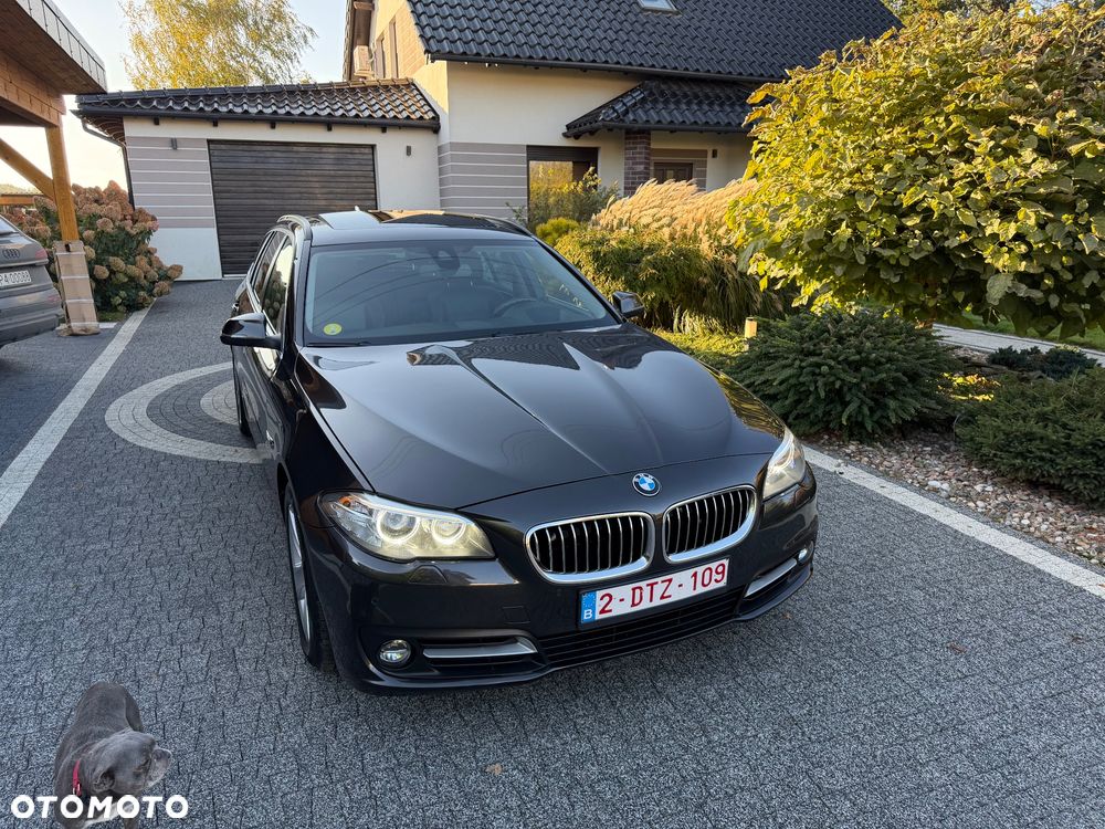 BMW Seria 5 520d Touring Blue Performance - 2