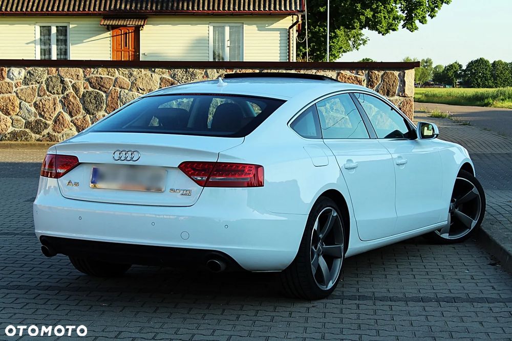 Audi A5 Sportback 3.0 TDI quattro DPF S tronic - 14