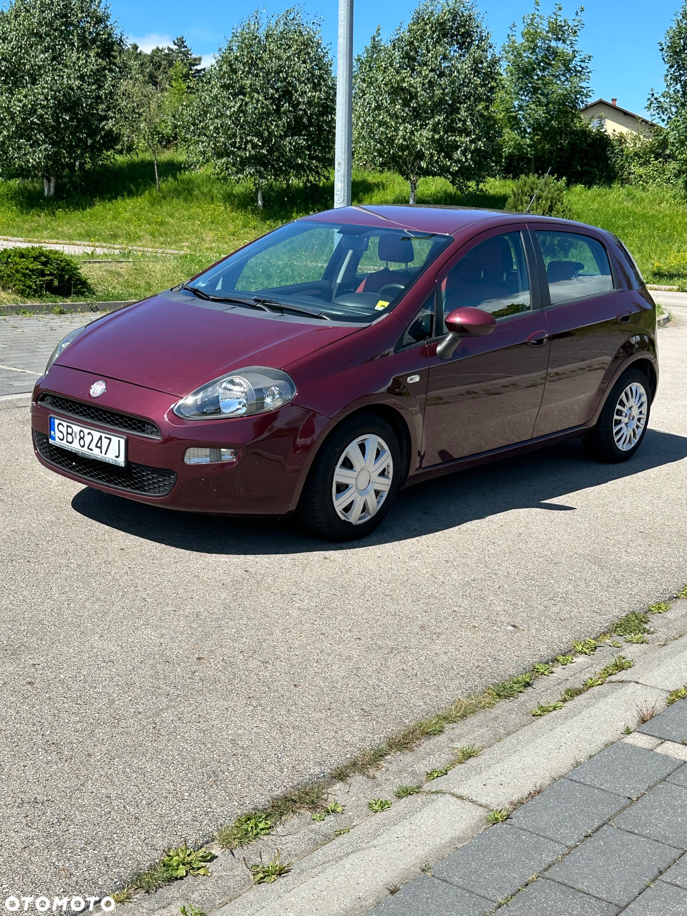 Fiat Punto - 4