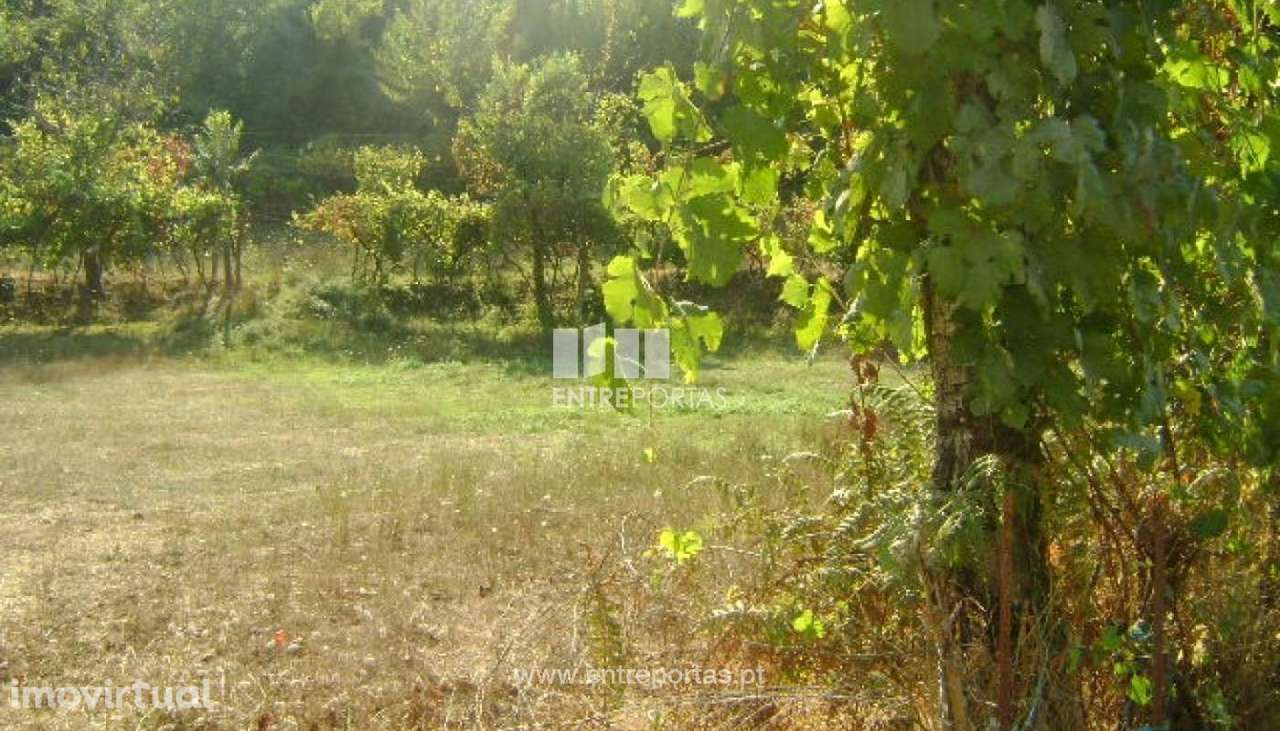 Venda Terreno, vista desafogada, Paredes de Viadores, Marco de Canaves - Grande imagem: 5/6