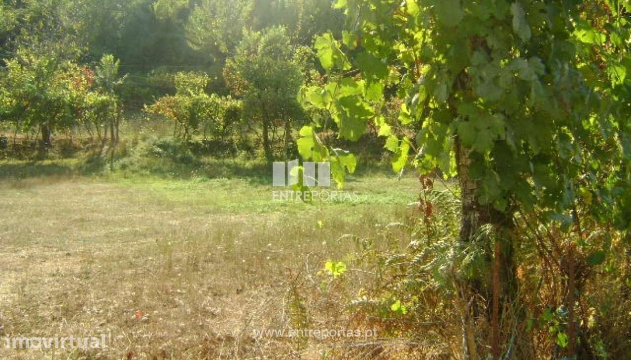 Venda Terreno, vista desafogada, Paredes de Viadores, Marco de Canaves - Grande imagem: 5/6