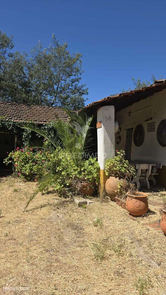 Moradia T2 com quinta para comprar em Espinheiro - Grande imagem: 2/39