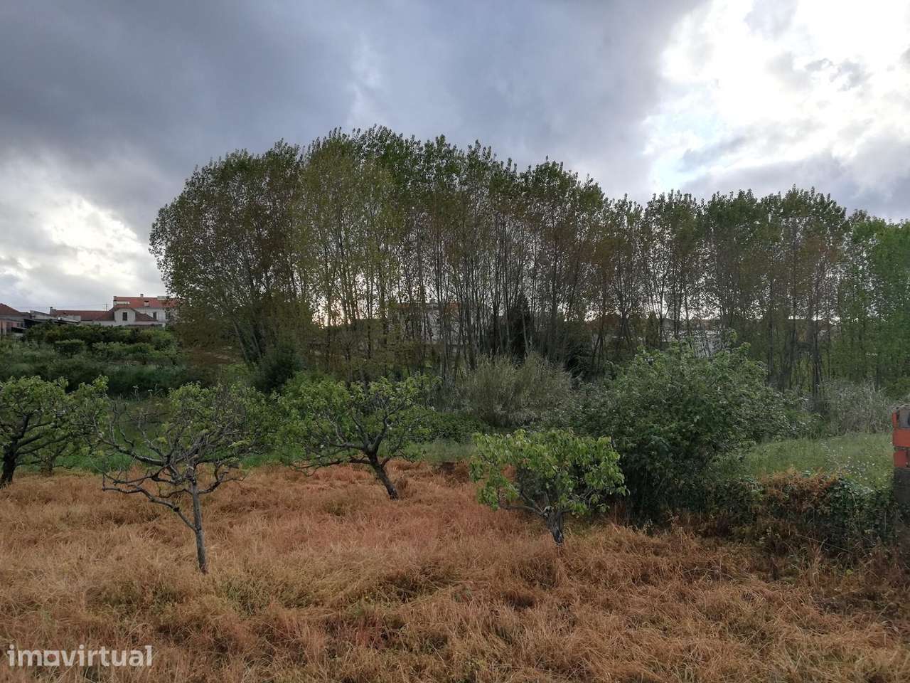 Quinta do Formigal: 2 Hectares com Potencial Turístico e Agrícola em S - Grande imagem: 2/13