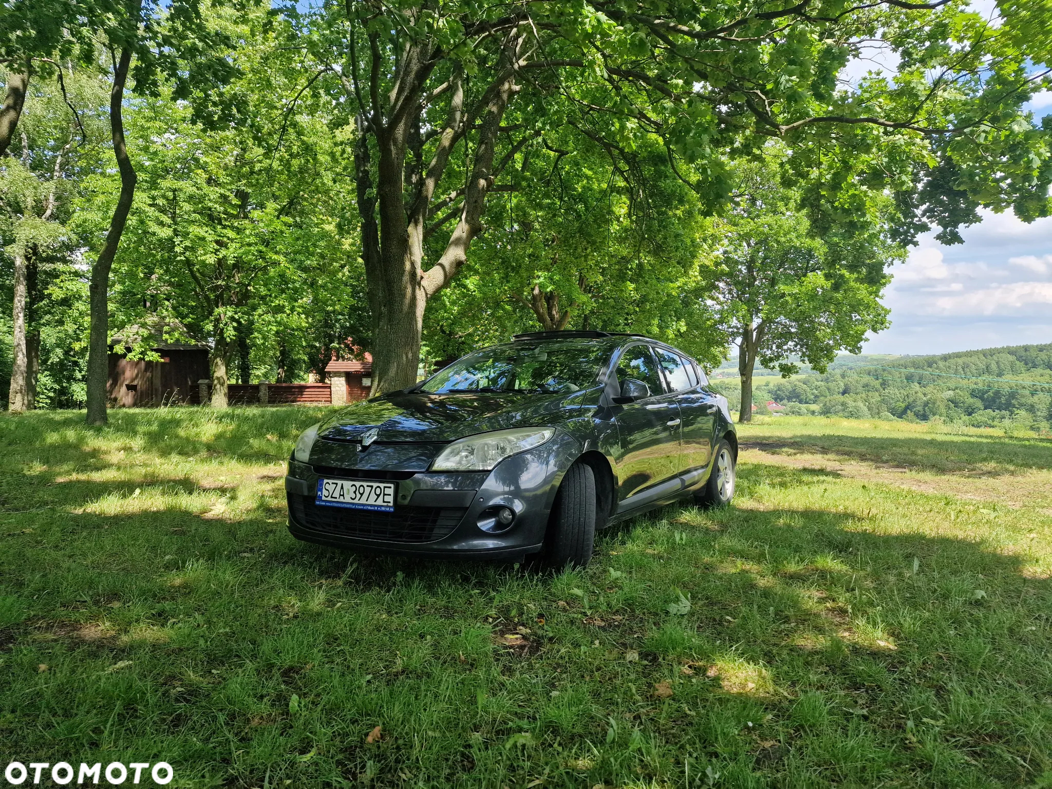 Renault Megane - 14