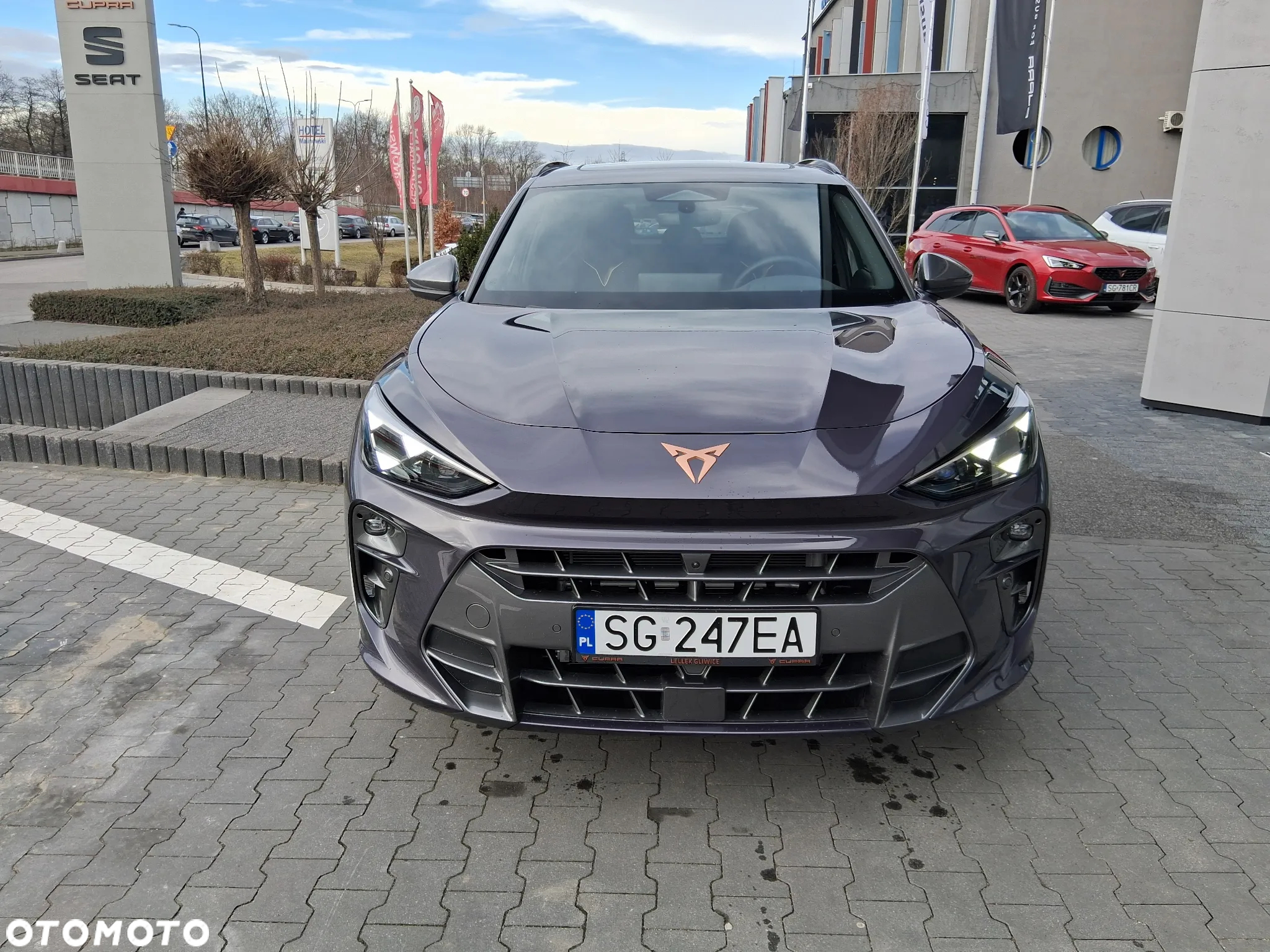 Cupra Terramar - 3
