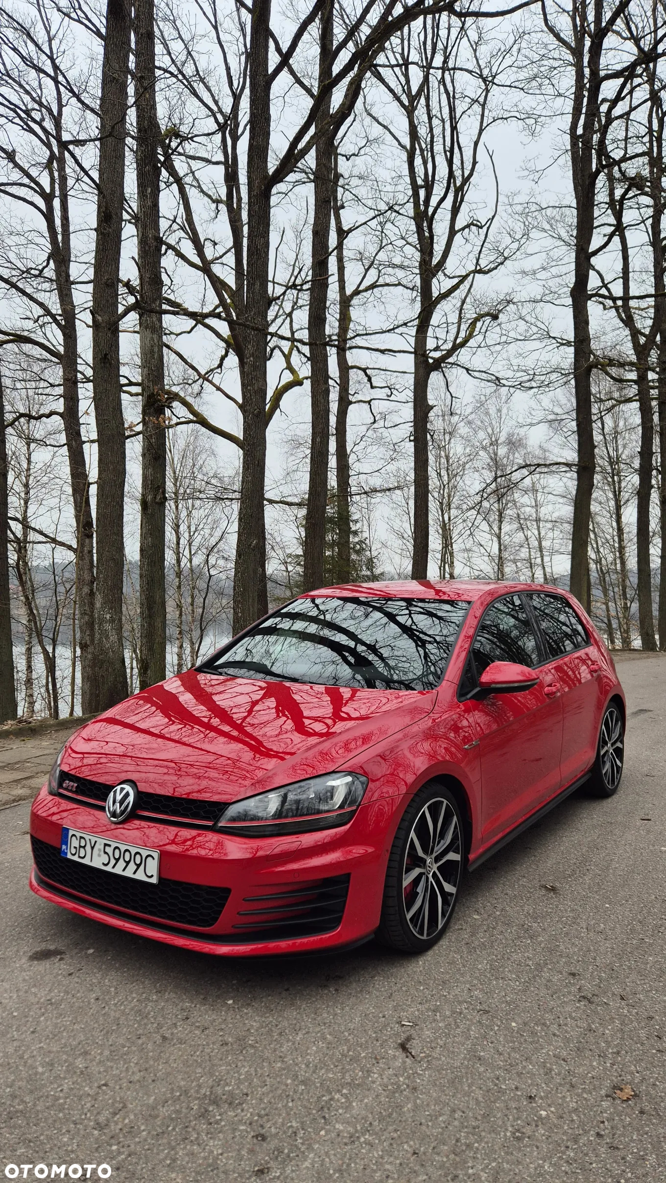 Volkswagen Golf VII 2.0 TSI BMT GTI Performance - 7