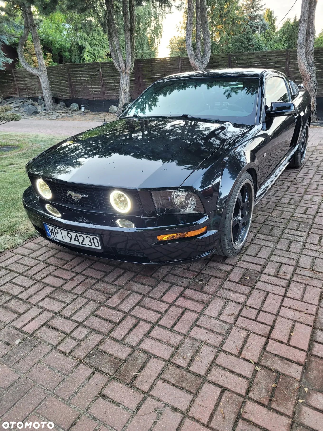 Ford Mustang 4.6 V8 GT - 1