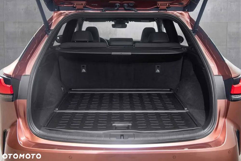 Lexus RX 450h+ (Plug-in-Hybrid) Executive - 9