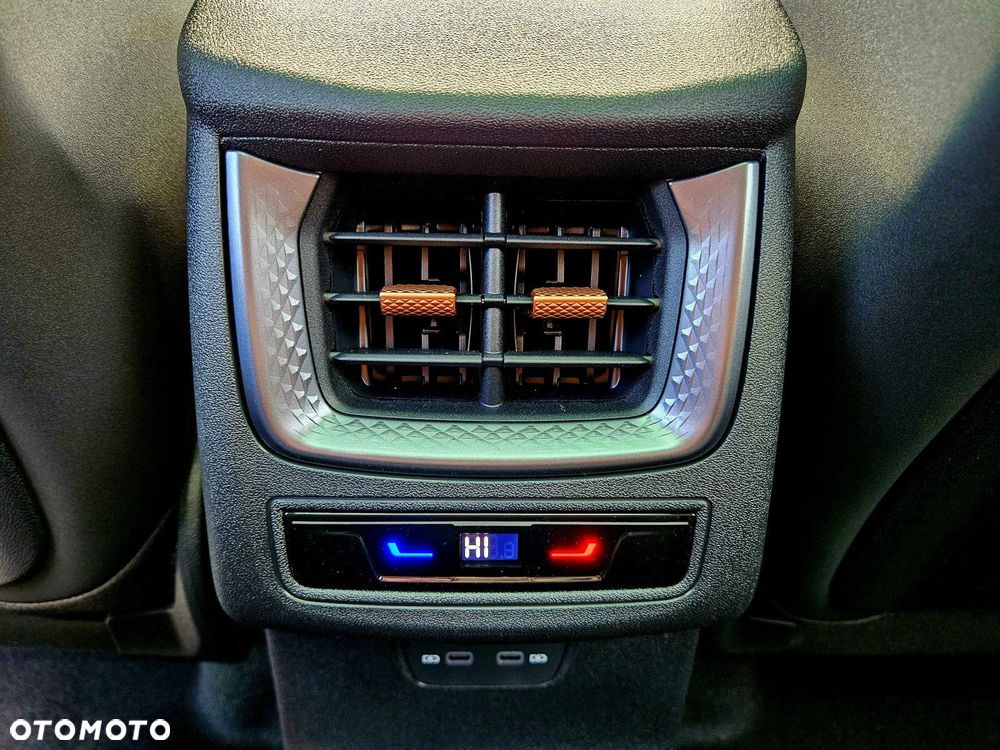 Cupra Terramar - 22