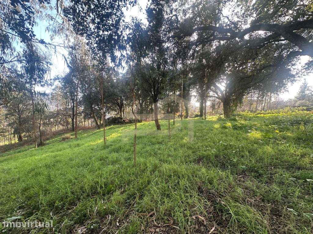 Vende-se terreno de construção com 7.000 m2. - Grande imagem: 3/13