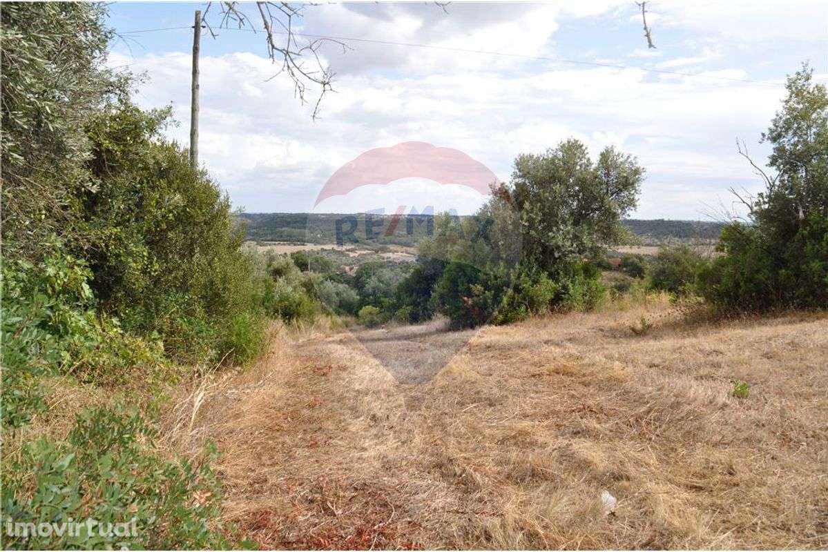 Terreno  para venda - Grande imagem: 4/12