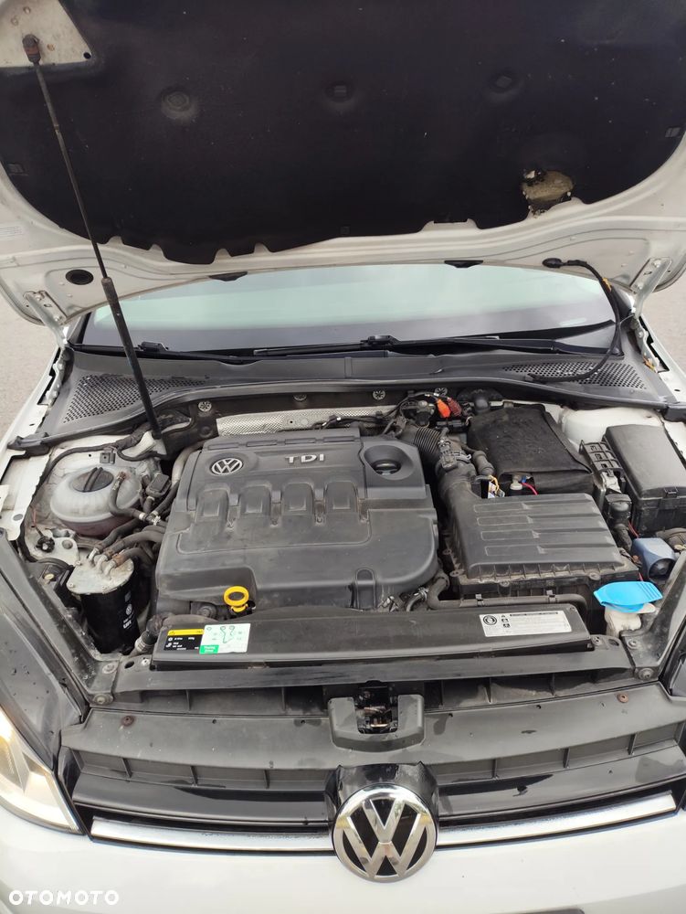 Volkswagen Golf 1.6 TDI BMT Trendline - 18