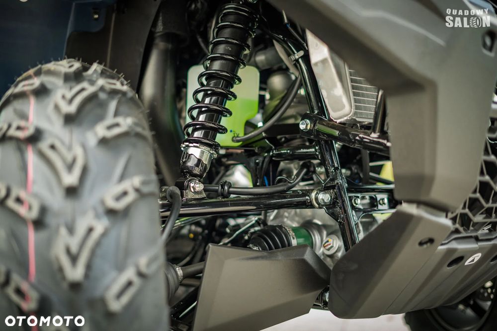 Kawasaki Brute Force - 19