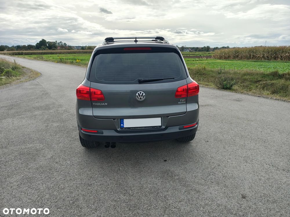 Volkswagen Tiguan - 3