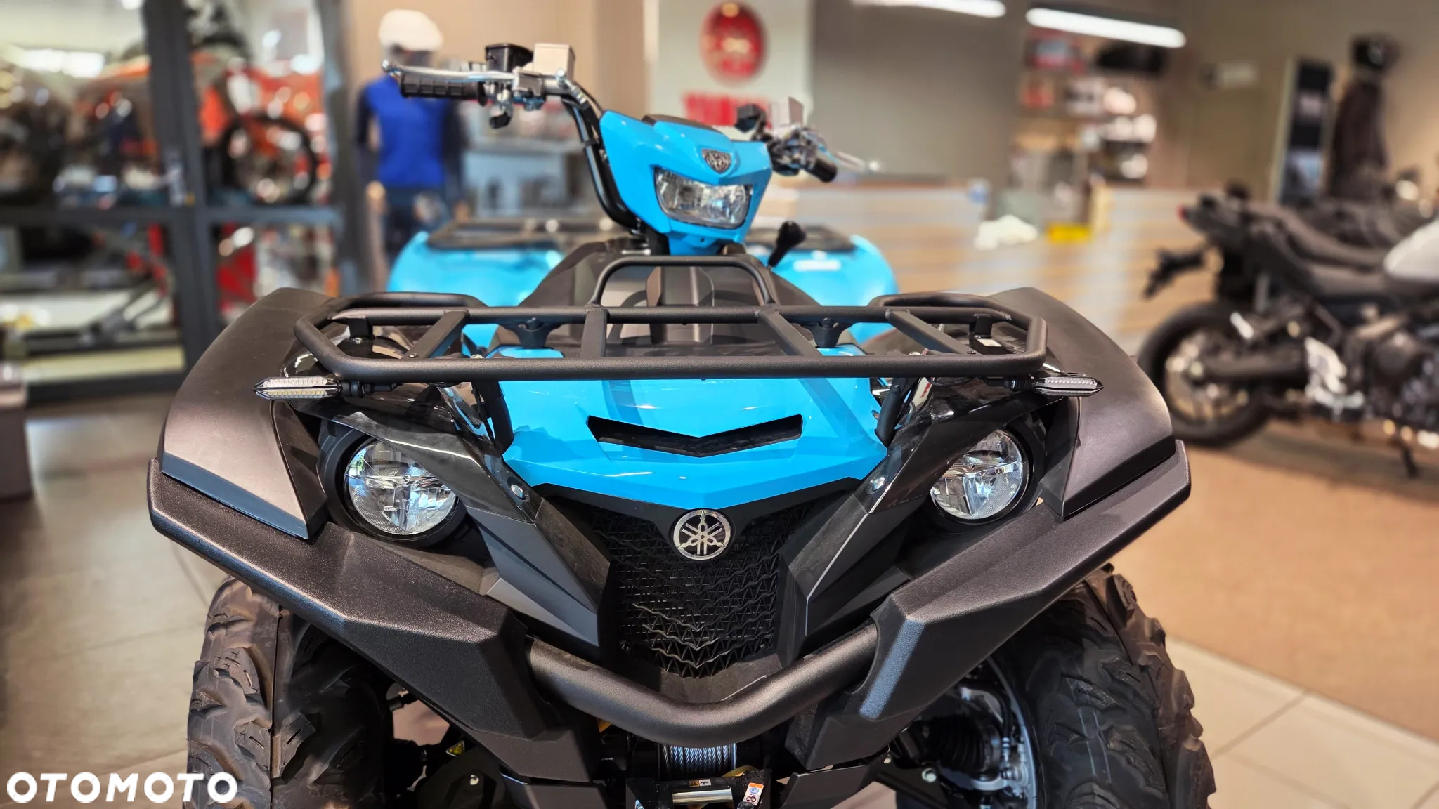 Yamaha Grizzly - 3