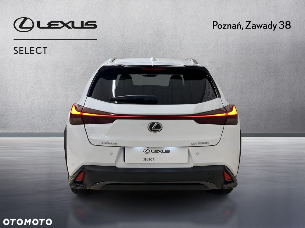 Lexus UX 250h GPF F Sport Design 2WD - 9