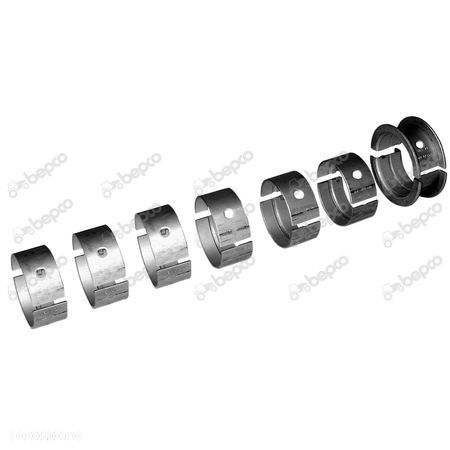 Zestaw Panewek - 0.25 MM, 3055129R21 Case - 1