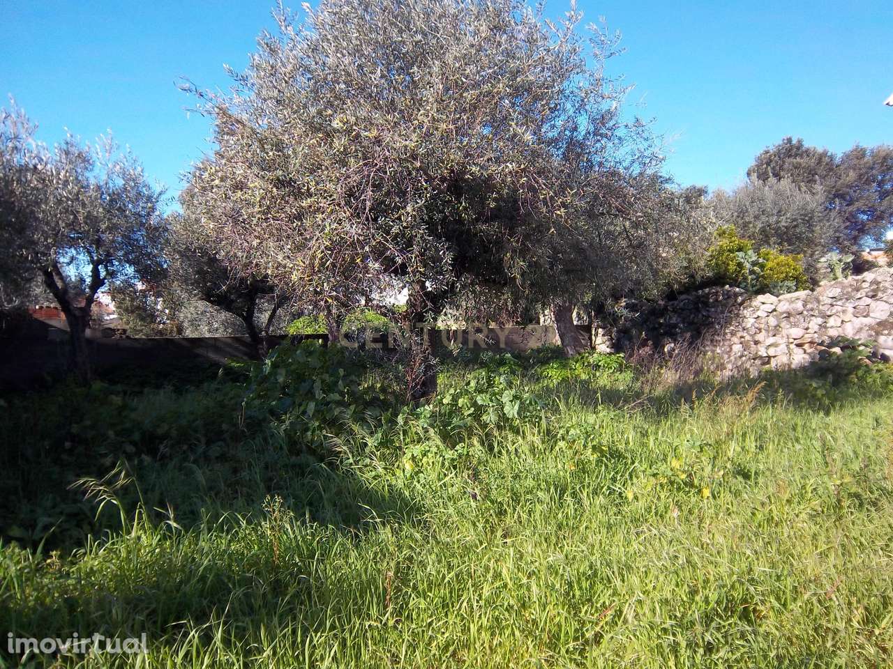 Terreno rústico em Alcains, o seu refúgio perfeito - Grande imagem: 3/4