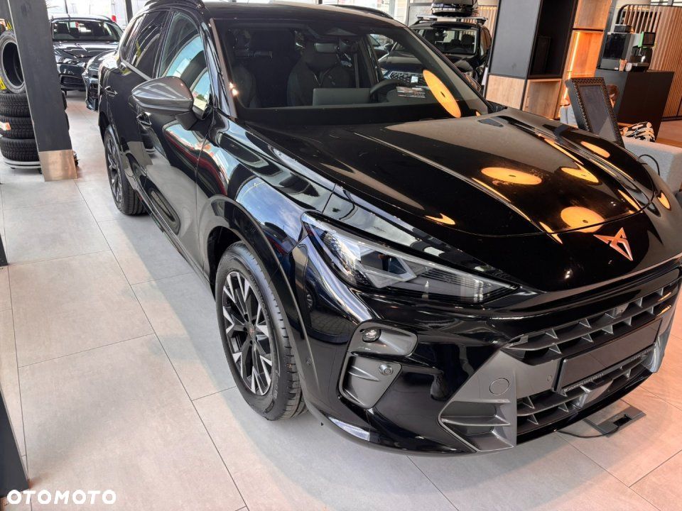 Cupra Terramar - 3