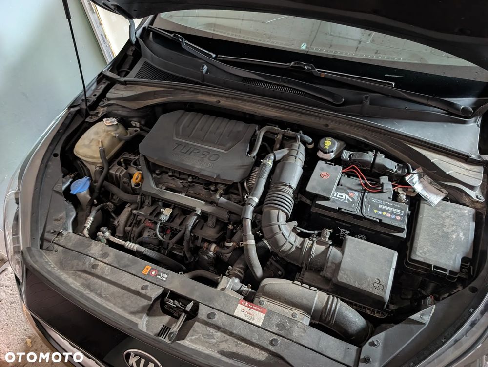 Kia ProCeed 1.5 T-GDI DCT7 OPF (48V Mild Hybrid) GT Line - 20