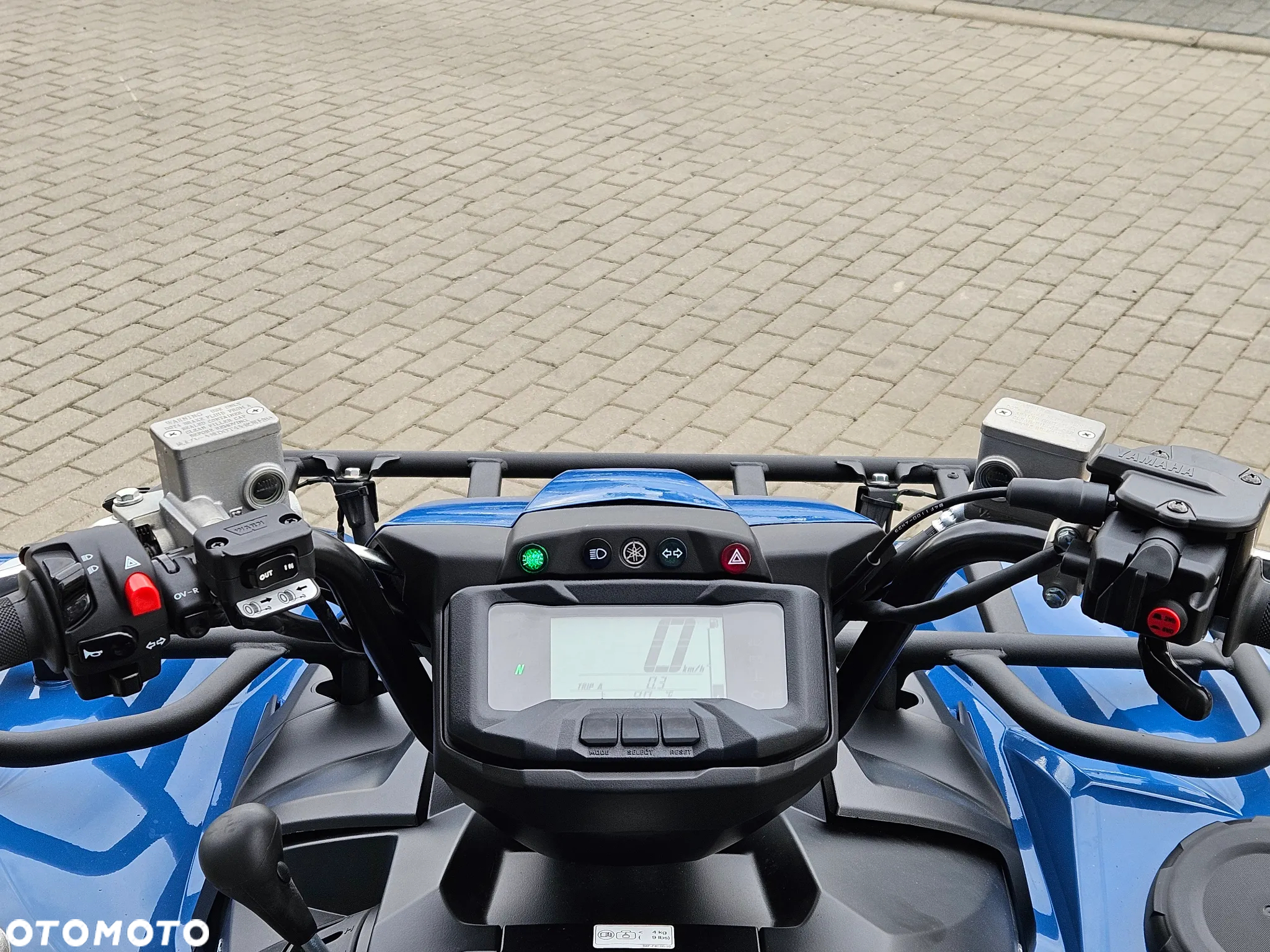 Yamaha Grizzly - 9