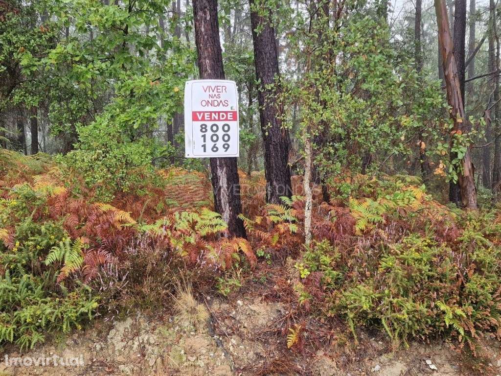 Terreno Rústico no Nesperal, Sertã. - Grande imagem: 3/7