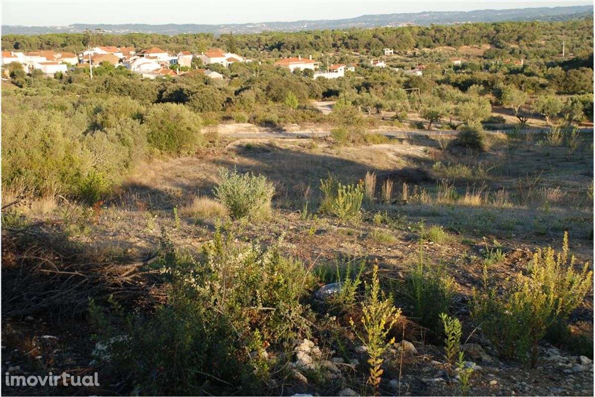 Terreno rústico - Grande imagem: 2/4