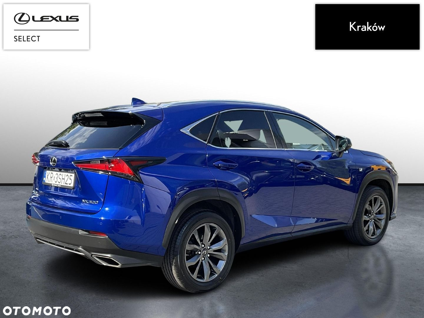 Lexus NX 300 F Sport AWD - 5