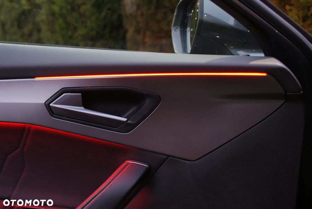 Cupra Formentor 1.5 TSI DSG - 23