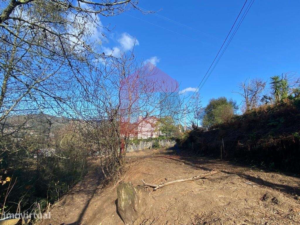 Terreno, Goães - Grande imagem: 4/46