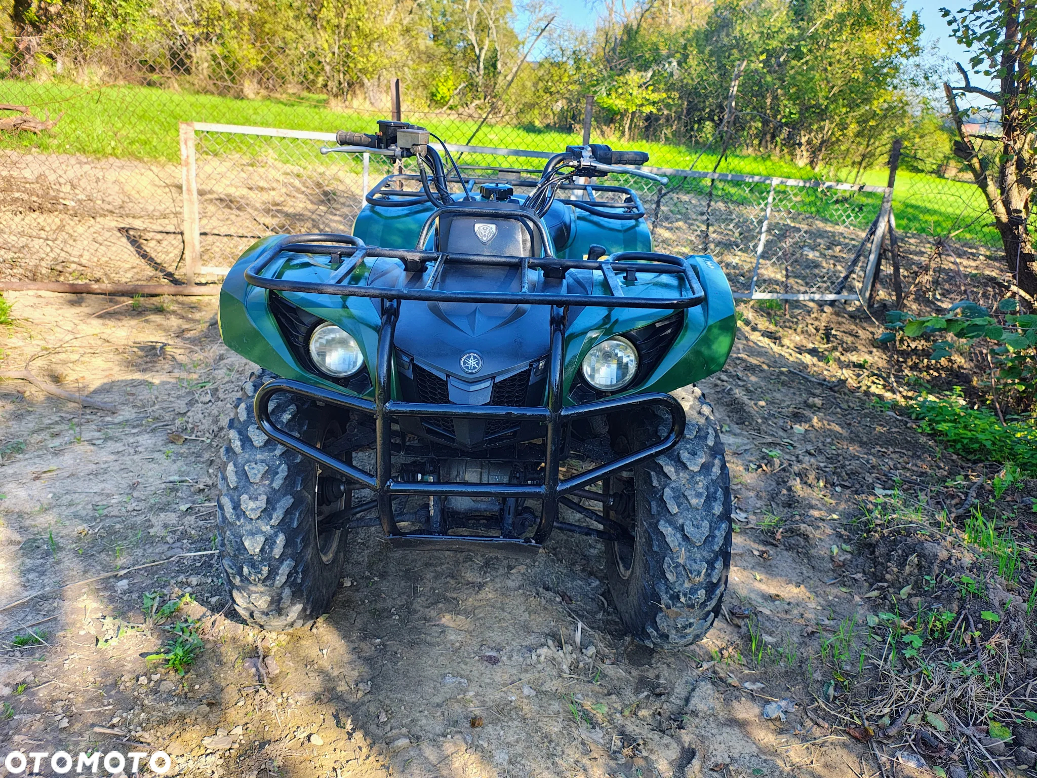 Yamaha Grizzly - 2