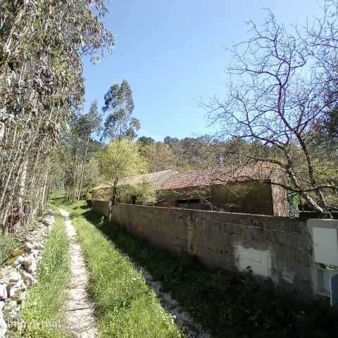 Vende se terreno, armazéns agrícolas - Grande imagem: 4/8