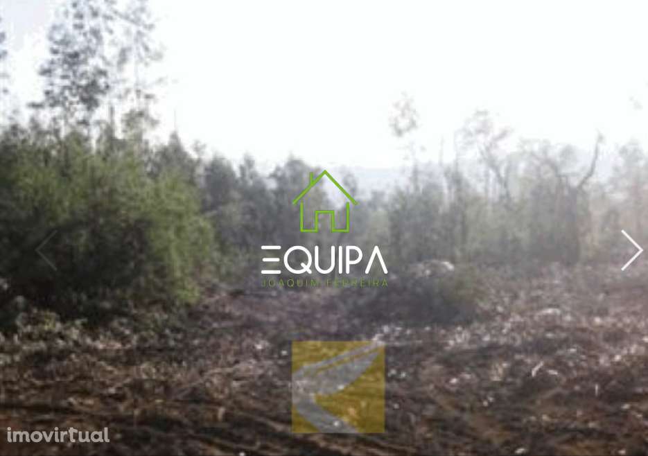 Terreno Rústico Monte Córdova- St. Tirso - Grande imagem: 5/6