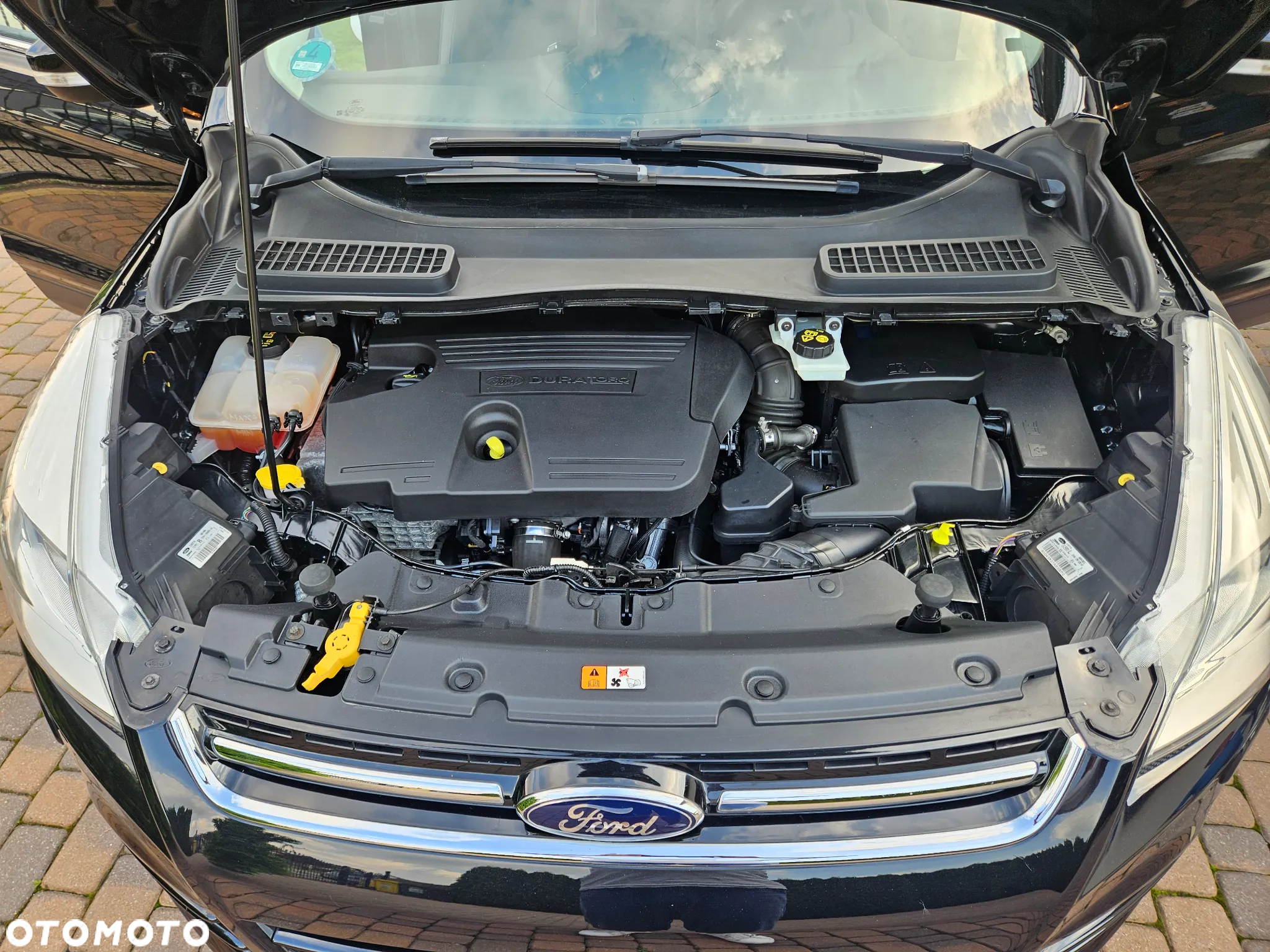 Ford Kuga 2.0 TDCi 4WD Titanium - 24