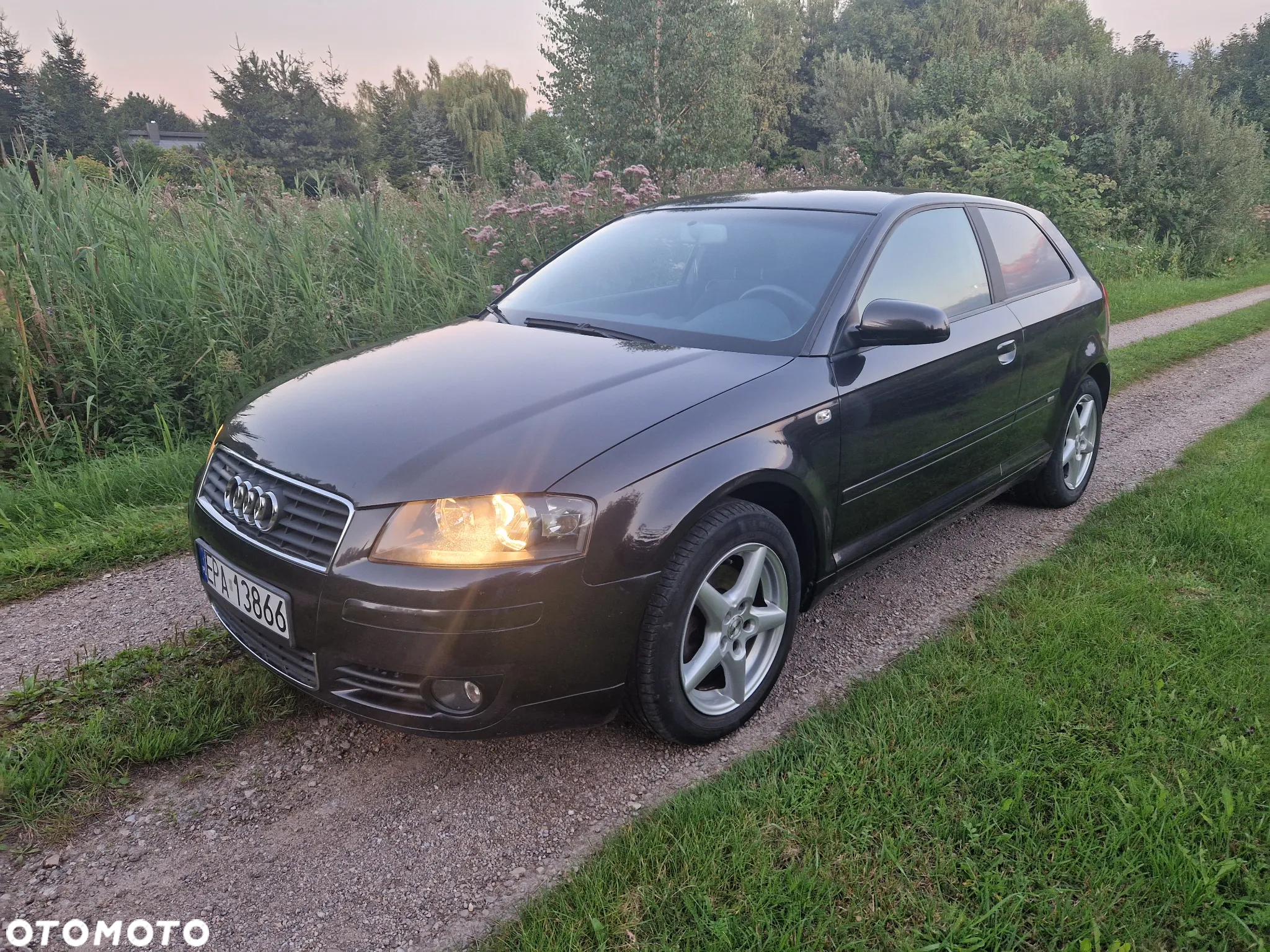 Audi A3 1.6 Attraction - 30